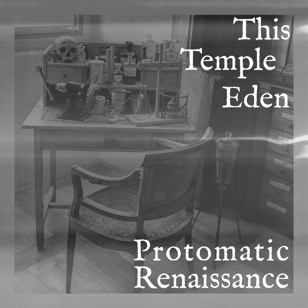 Protomatic Renaissance single cover